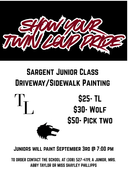 driveway painting